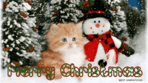 466932201merry-christmas-gif-cute-kitten-cat-snowman-snowing-animated-gif2.gif